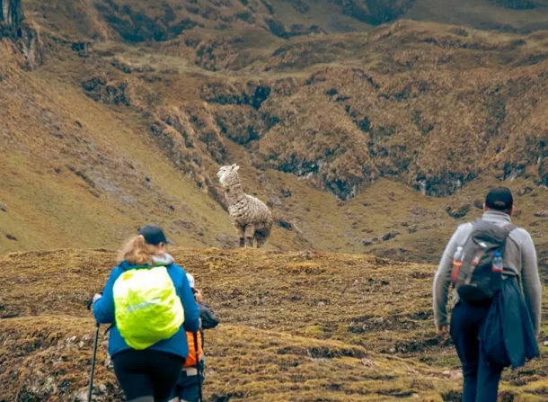 CAMINO INCA LARES A MACHUPICCHU